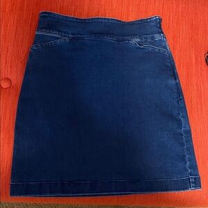 Talbots Navy Mini Skirt